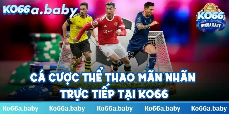 Cá cược thể thao mãn nhãn trực tiếp tại KO66